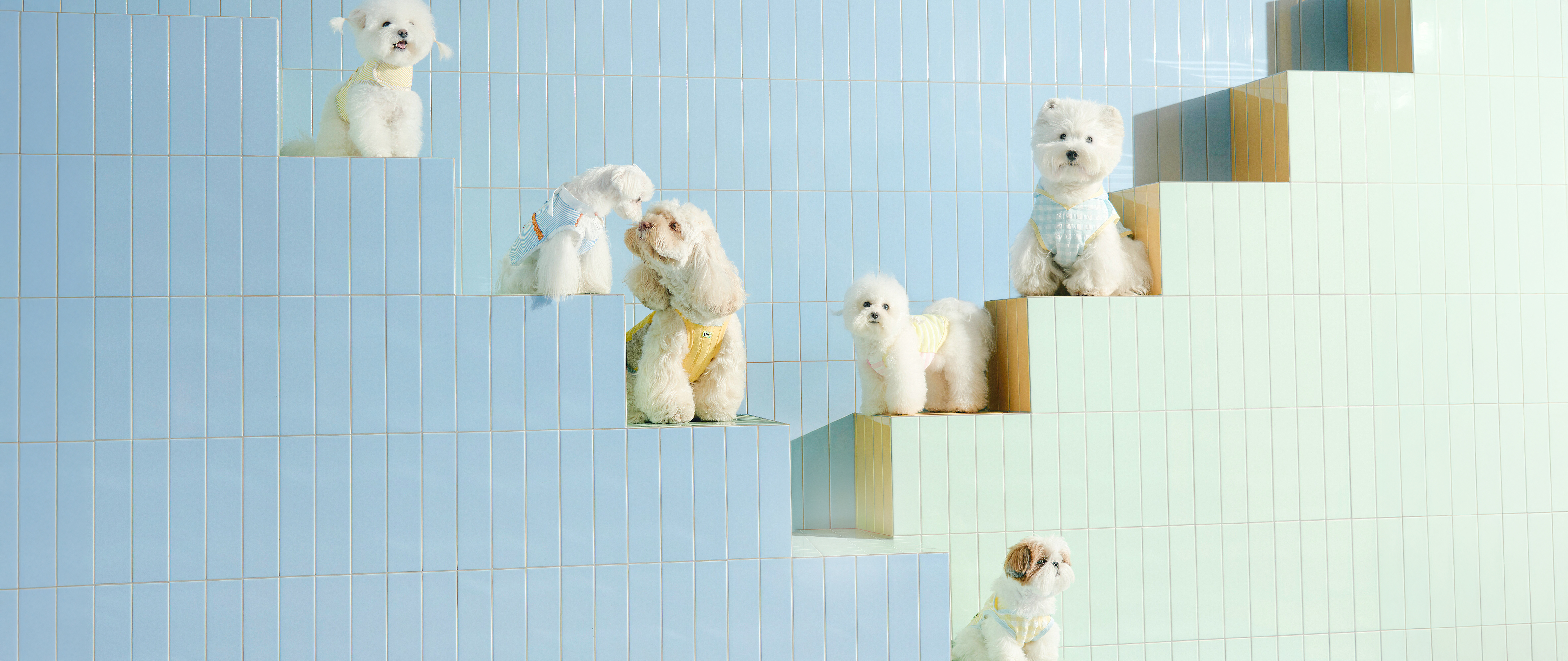 Children and pets playing